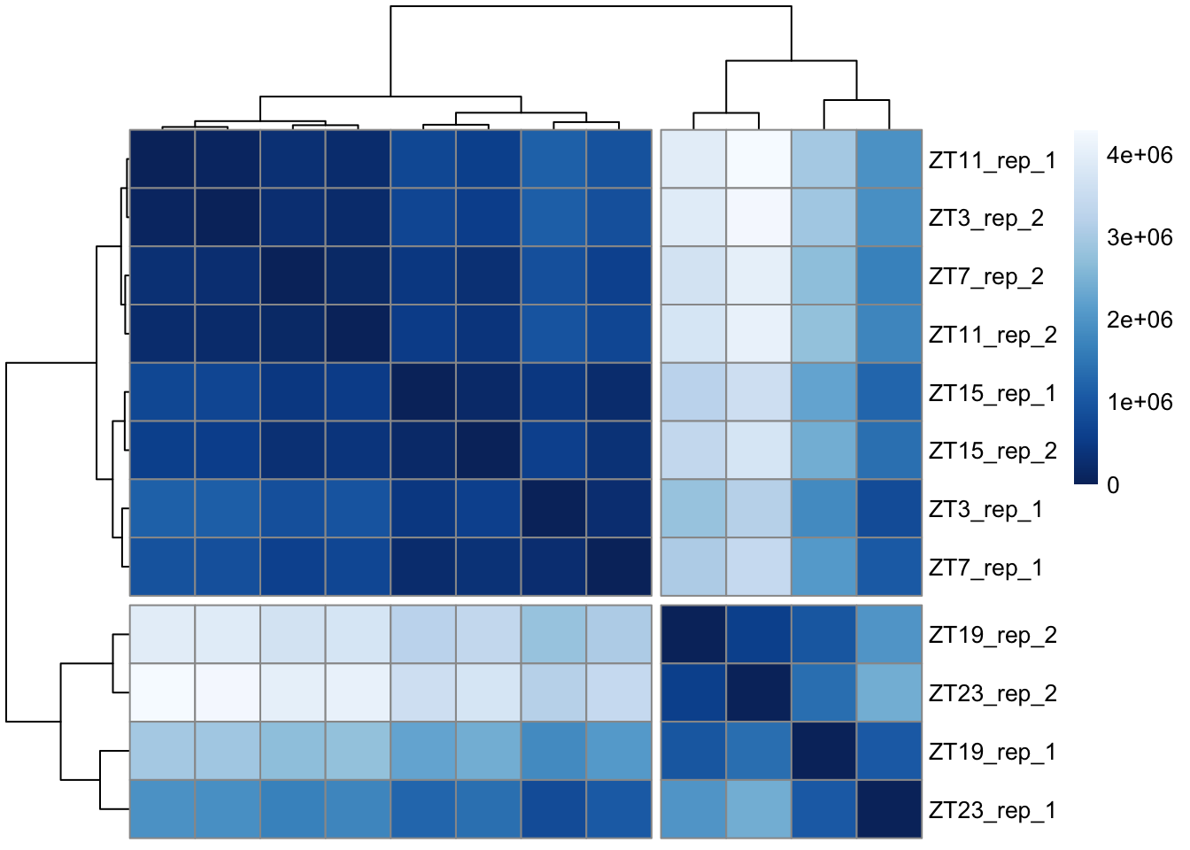 Heatmap representing distance between samples