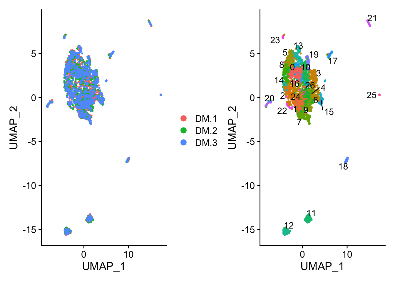 UMAP plot