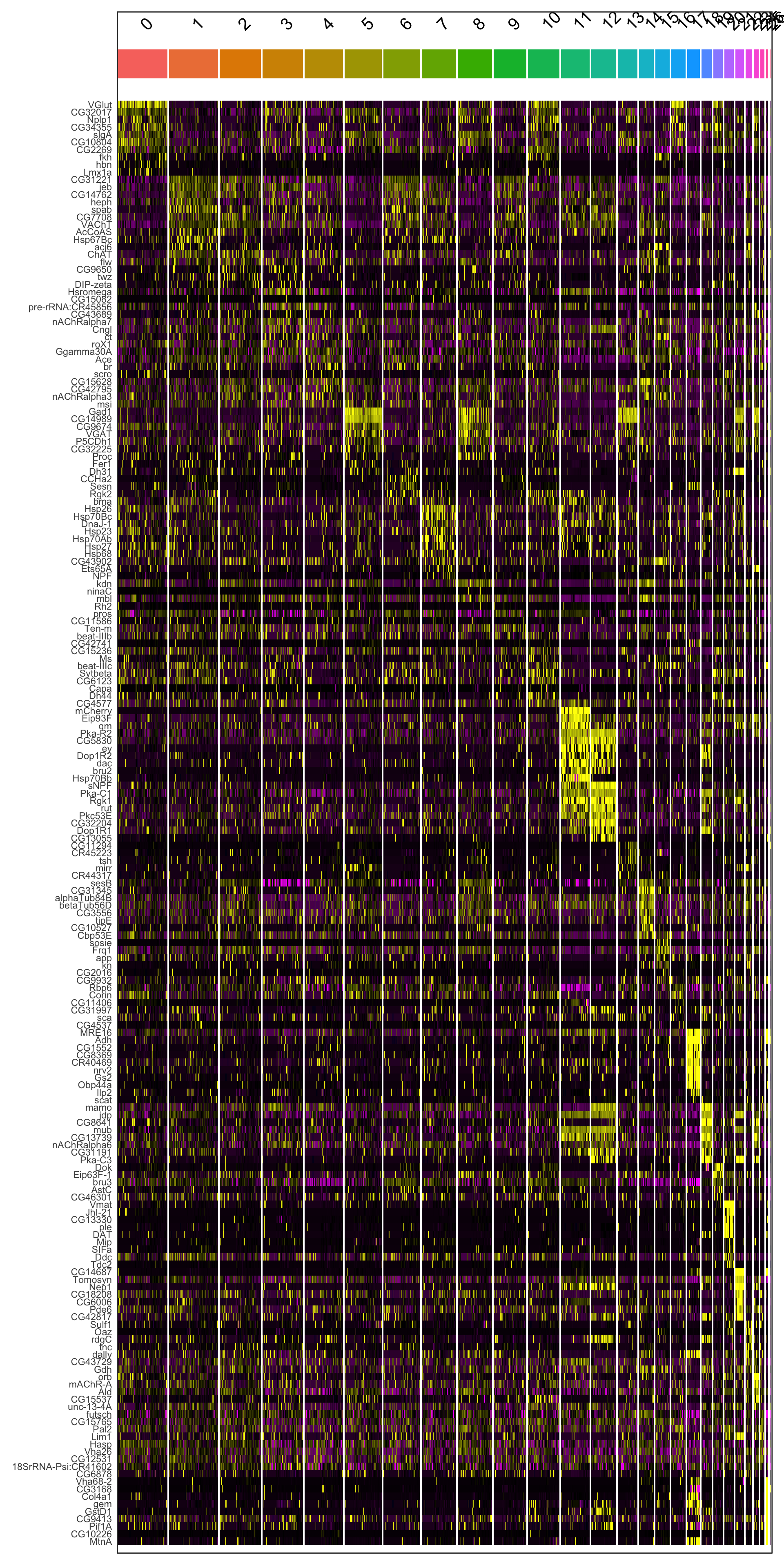 Heatmap of marker genes per cluster