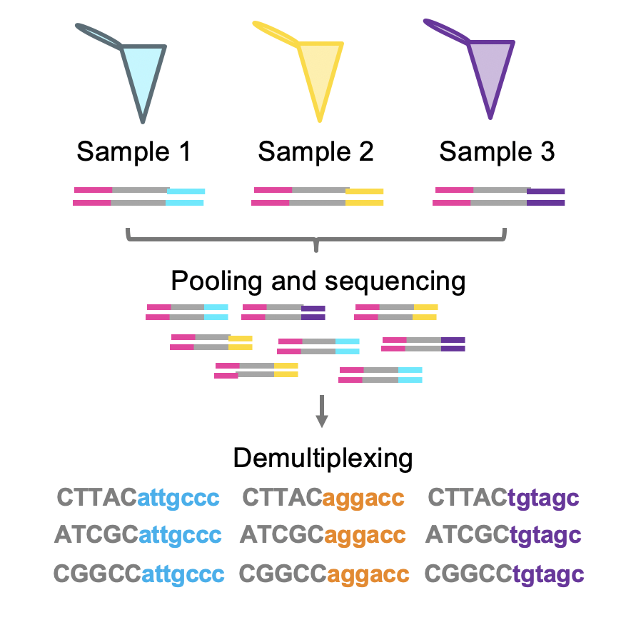 Demultiplexing strategy