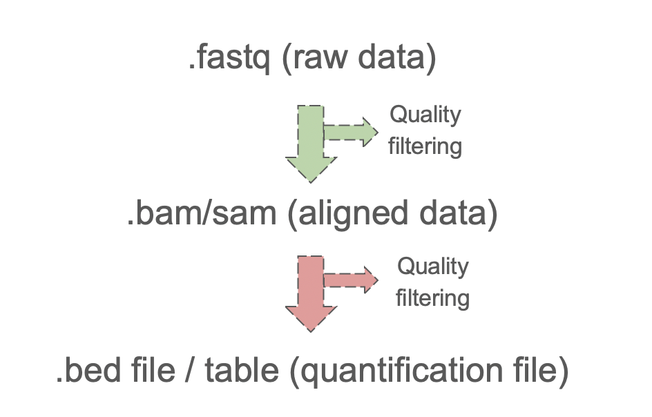 General pre-processing of the sequencing data.